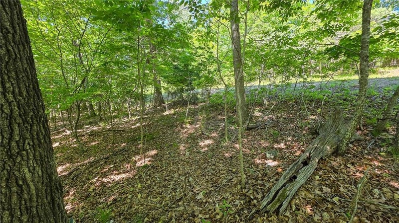 Spring Creek Dr, Sunrise Beach, MO 65070