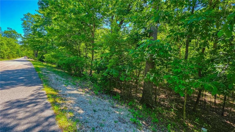 Spring Creek Dr, Sunrise Beach, MO 65070