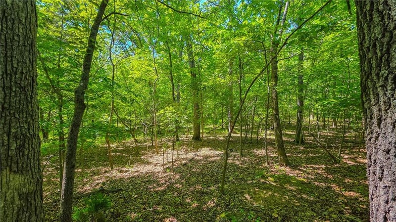 Spring Creek Dr, Sunrise Beach, MO 65070