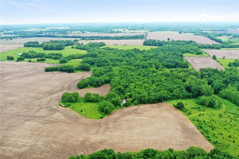 Tbd Oo Hw, Odessa, MO 64076