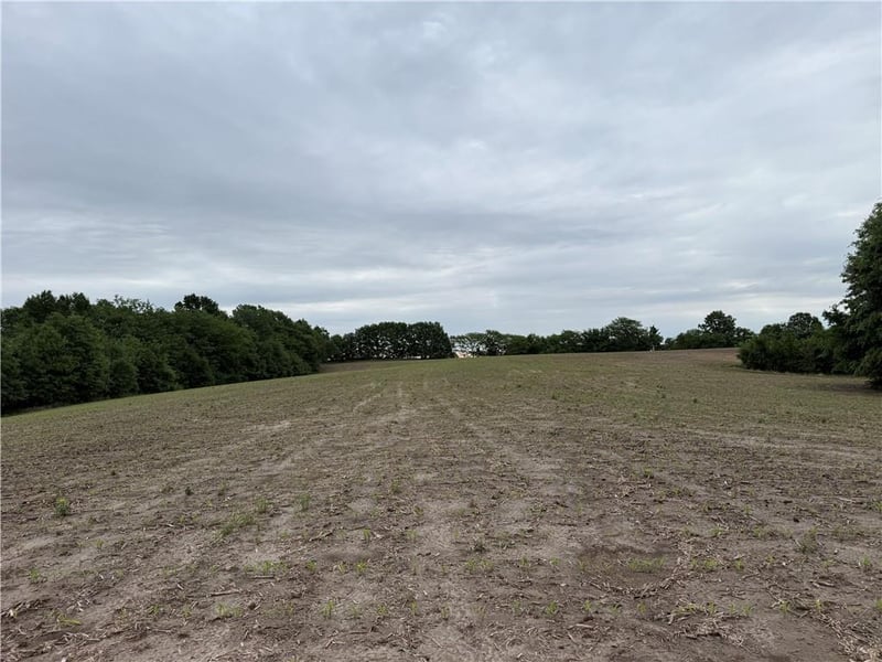 Cotton Rd, Purdin, MO 64674