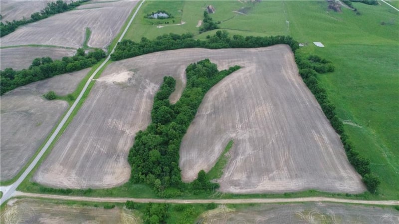 Cotton Rd, Purdin, MO 64674