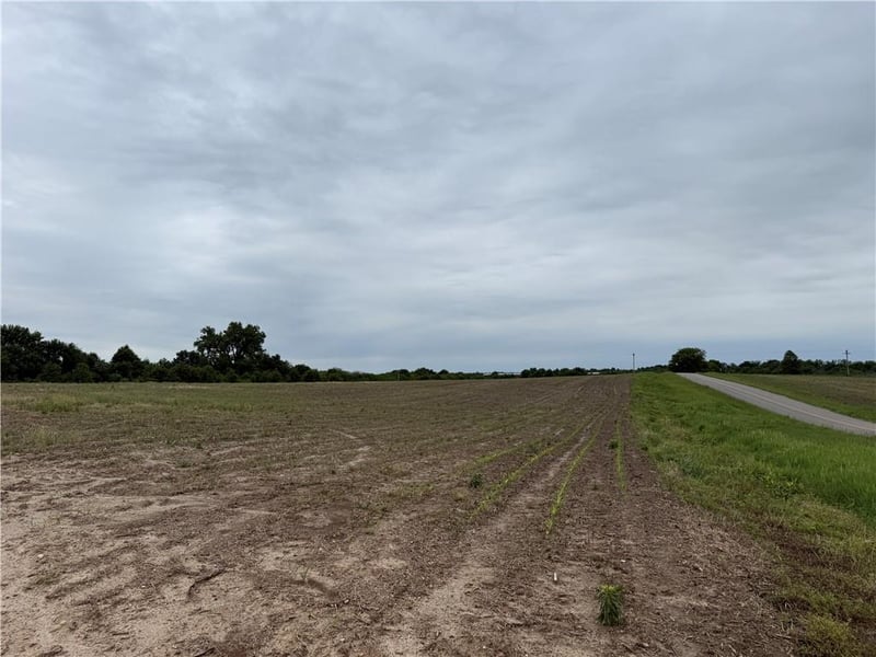 Cotton Rd, Purdin, MO 64674