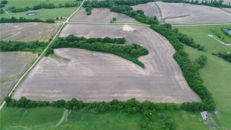 Cotton Rd, Purdin, MO 64674