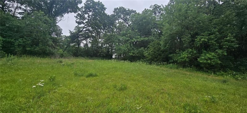 12668 Panama Rd, Nevada, MO 64772