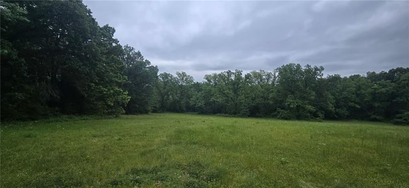 12668 Panama Rd, Nevada, MO 64772