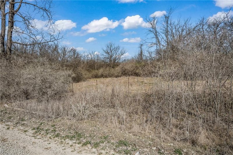 Reserve 174th St, Lawson, MO 64062