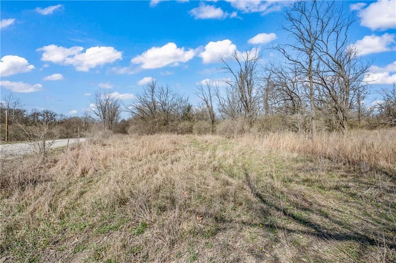 Reserve 174th St, Lawson, MO 64062