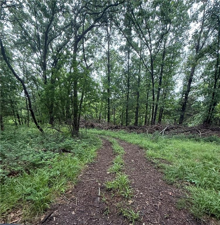 1100 Rd, Deepwater, MO 64760
