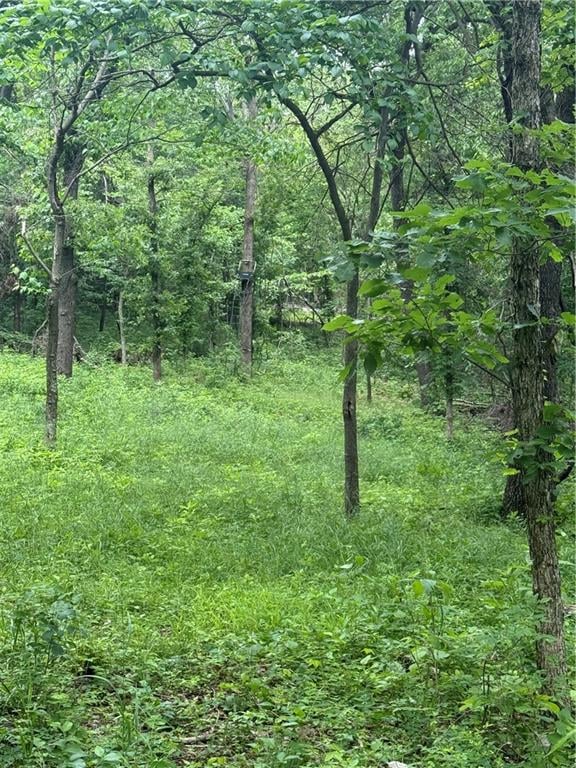 1100 Rd, Deepwater, MO 64760