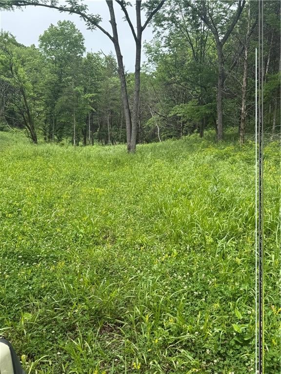 1100 Rd, Deepwater, MO 64760