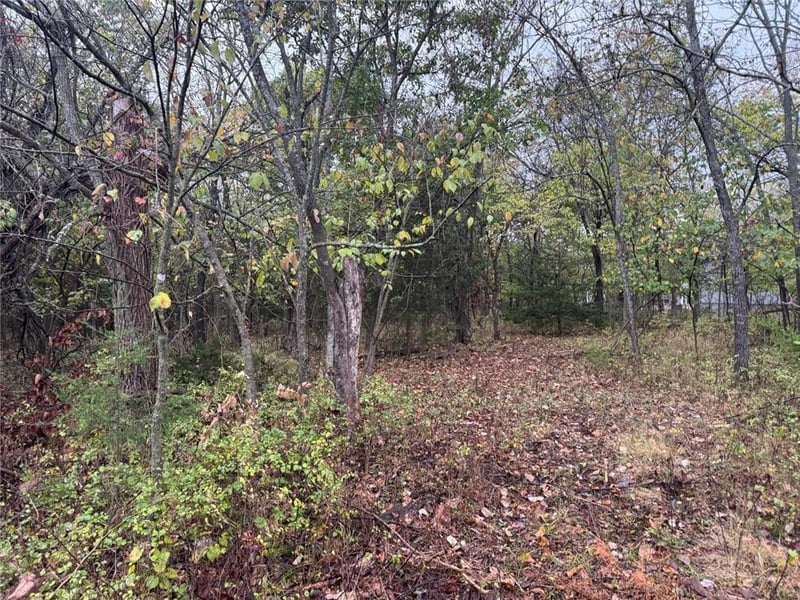 42 N Linn Valley Dr, Linn Valley, KS 66040