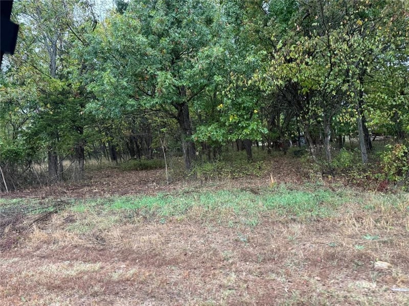 42 N Linn Valley Dr, Linn Valley, KS 66040