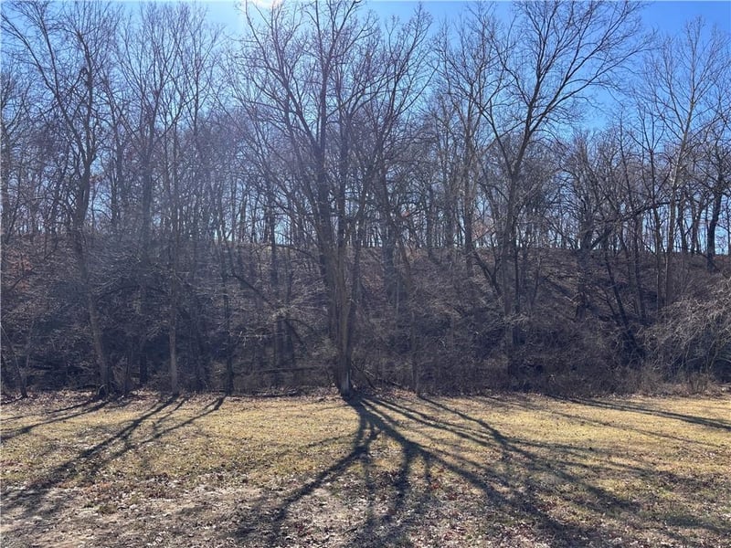 4201 Staley Rd, Kansas City, MO 64156