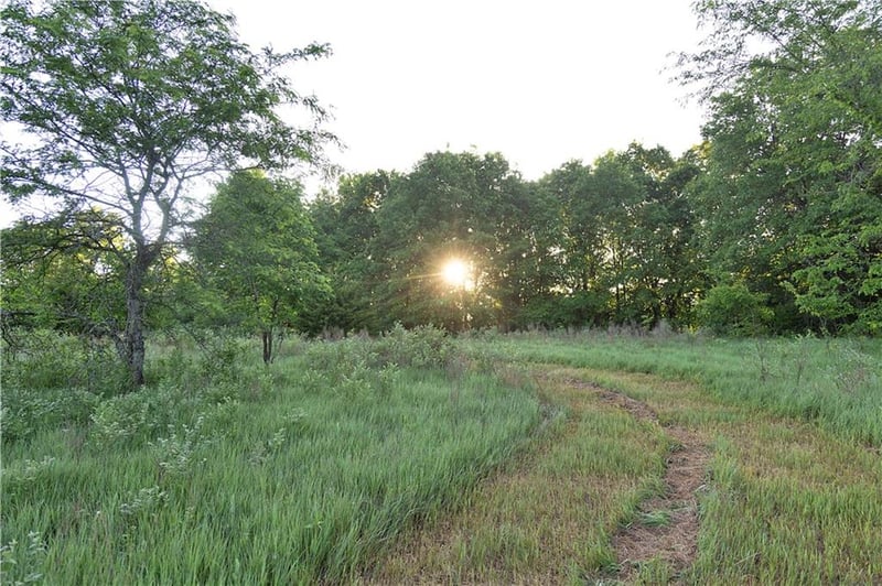 Murray Rd, Lawson, MO 64062