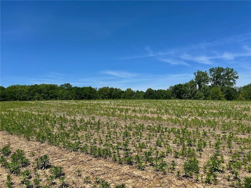 34914 Colbern Rd, Lone Jack, MO 64070