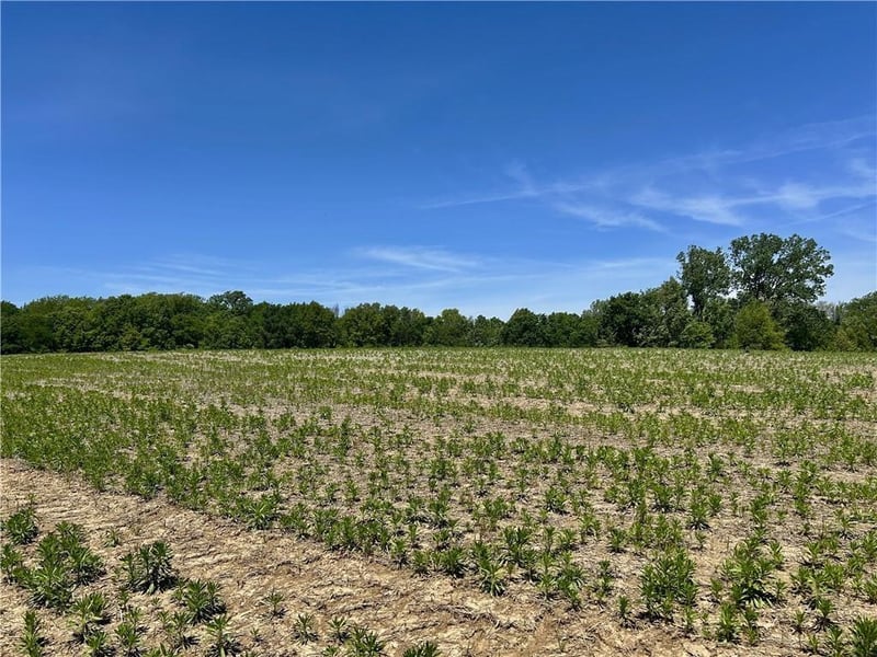 Colbern Rd, Lone Jack, MO 64070