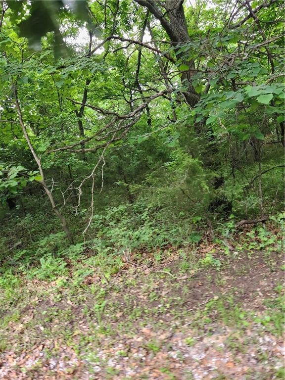 35 Mystic Valley Dr, Linn Valley, KS 66040