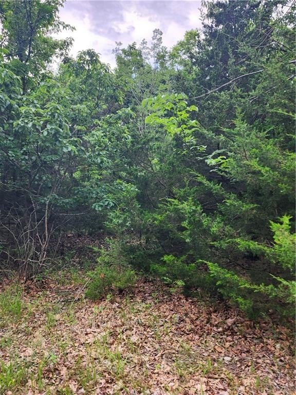 35 Mystic Valley Dr, Linn Valley, KS 66040