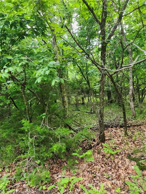 35 Mystic Valley Dr, Linn Valley, KS 66040