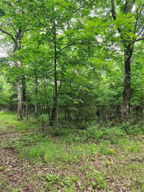 35 Mystic Valley Dr, Linn Valley, KS 66040