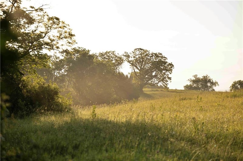 Wilderness Camp Rd, Lawson, MO 64062