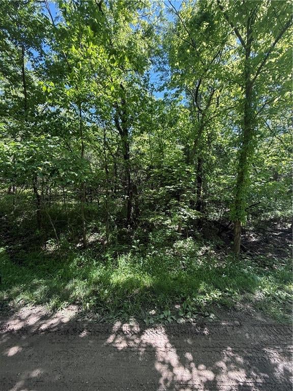 10 Scenic Ln, Linn Valley, KS 66040