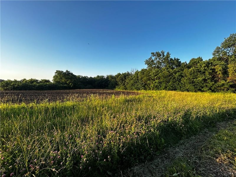 252 Sw 601st Rd, Centerview, MO 64019