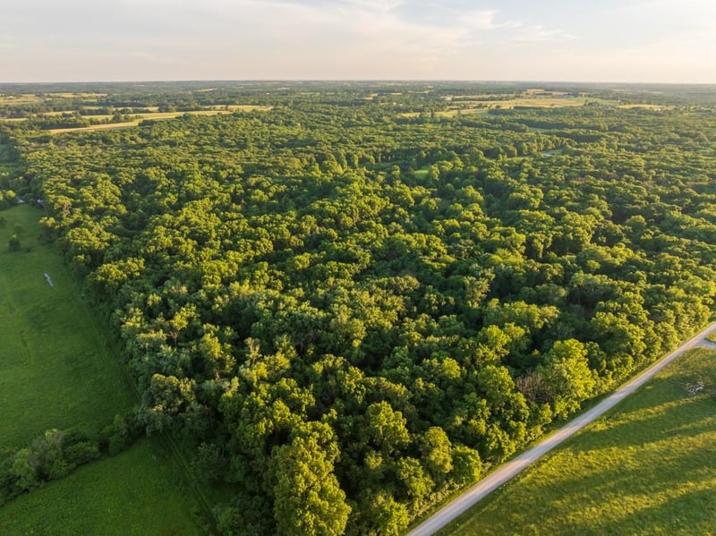521 301st Rd, Warrensburg, MO 64093