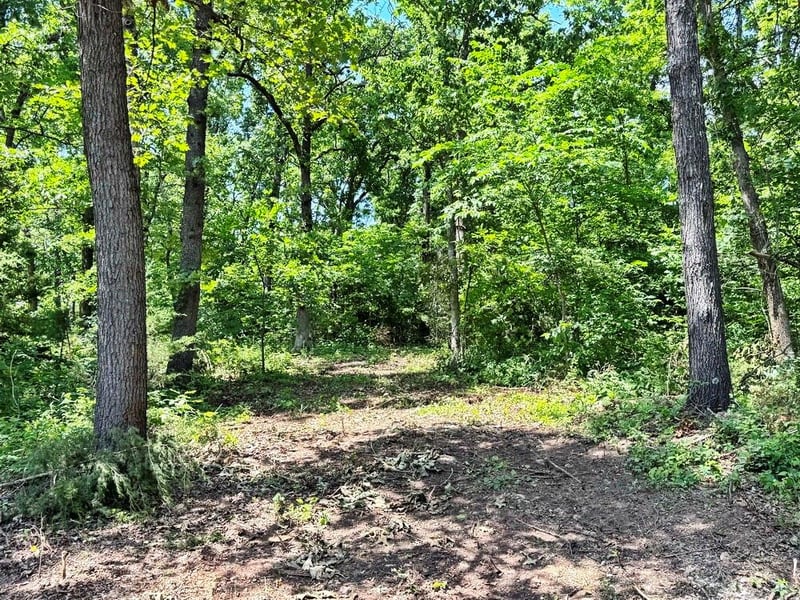 TBD1 1550 Rd, Jerico Springs, MO 64756