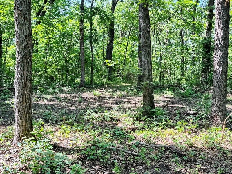 TBD1 1550 Rd, Jerico Springs, MO 64756
