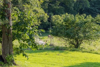 7165 Gibbs Rd, Kansas City, KS 66106
