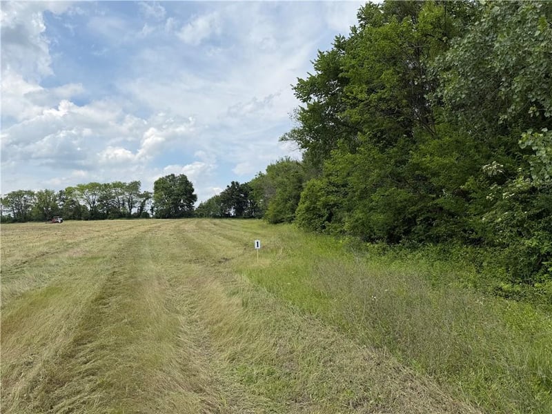 Gibbons Lot 2 Rd, Pleasant Hill, MO 64080