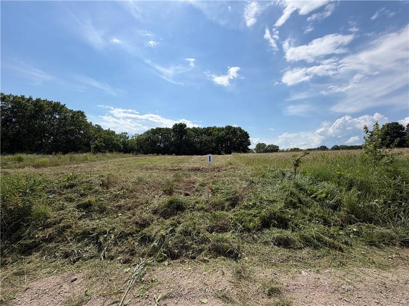 Gibbons Lot 2 Rd, Pleasant Hill, MO 64080