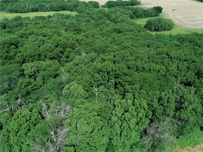 Metcalf Rd, Louisburg, KS 66053