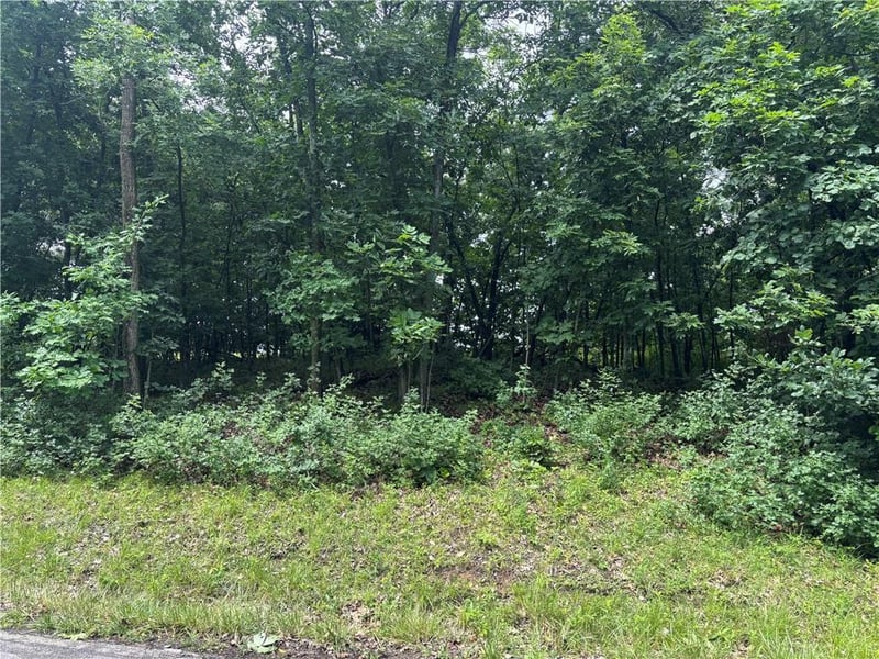 Lot 3063 Lake Viking Ter, Altamont, MO 64620