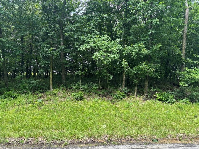 Lot 3063 Lake Viking Ter, Altamont, MO 64620