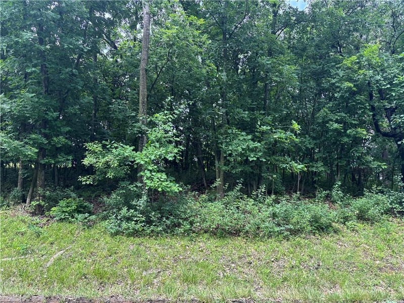 Lot 3063 Lake Viking Ter, Altamont, MO 64620
