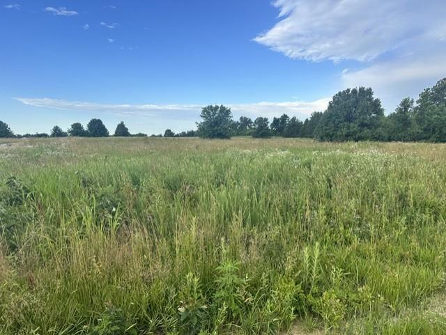 17XXX 1244 Rd, Nevada, MO 64772