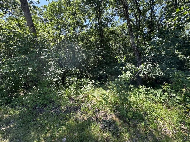 lot 65 591 Rd, Warrensburg, MO 64093