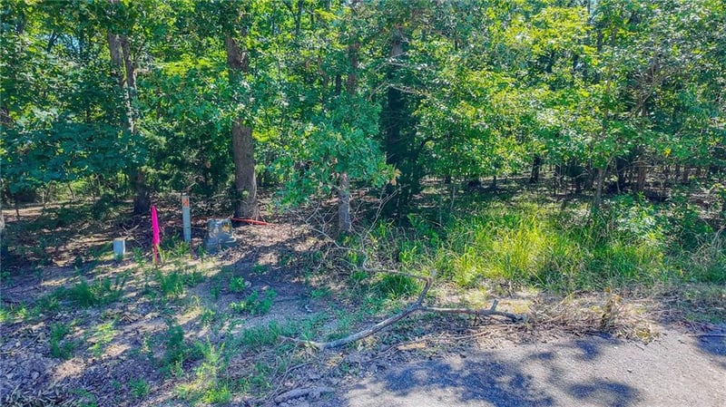 Champion Ct, Sunrise Beach, MO 65079