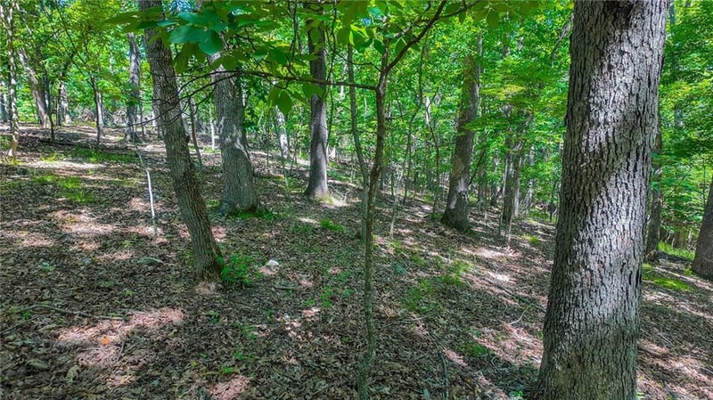 Champion Ct, Sunrise Beach, MO 65079