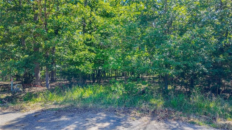 Champion Ct, Sunrise Beach, MO 65079