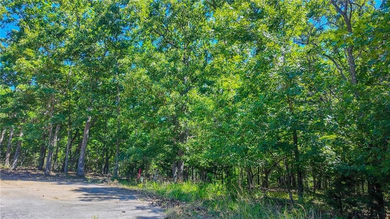 Champion Ct, Sunrise Beach, MO 65079
