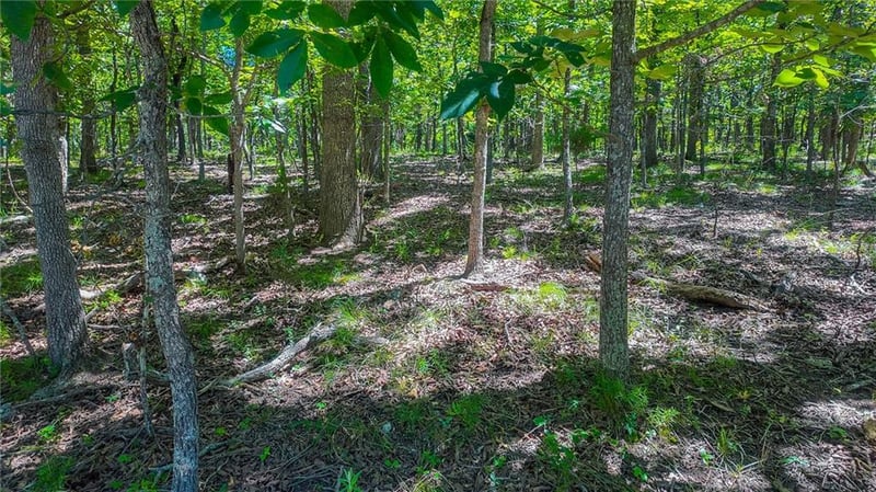 Muirfield Dr, Sunrise Beach, MO 65079