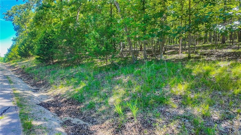 Muirfield Dr, Sunrise Beach, MO 65079