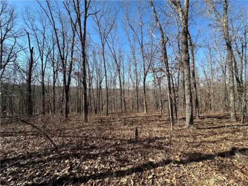Rolfs Pl, Edwards, MO 65326