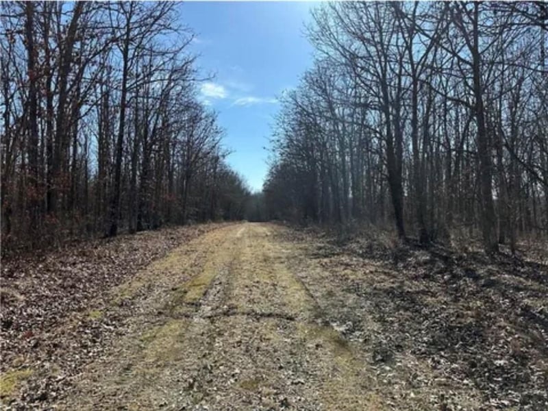Rolfs Pl, Edwards, MO 65326