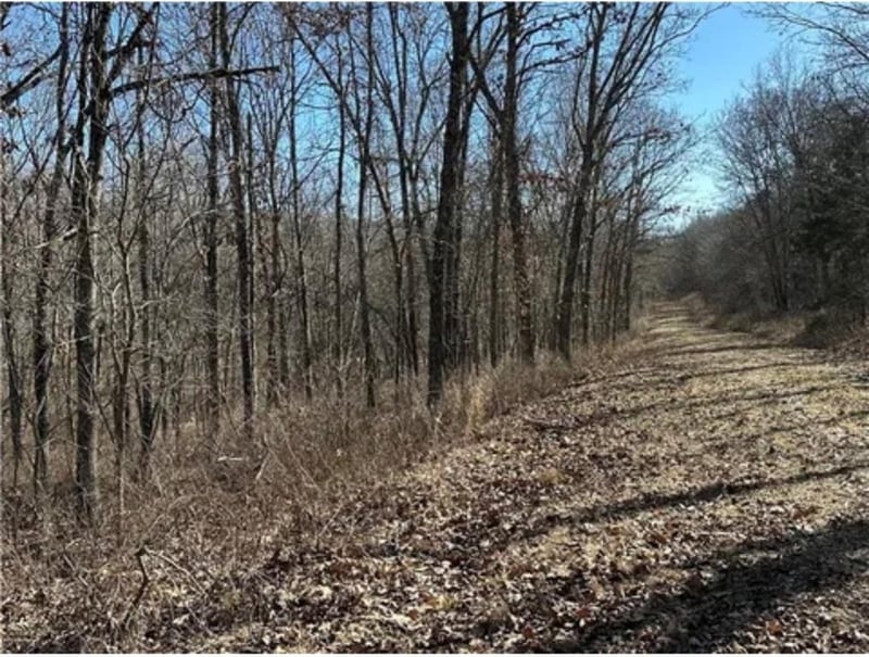 Rolfs Pl, Edwards, MO 65326