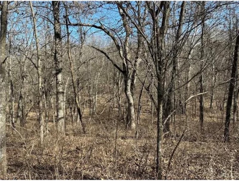 Rolfs Pl, Edwards, MO 65326